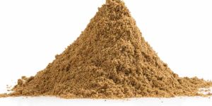 Dehydrated Ajwain Powder