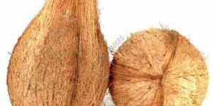 a Grade Semi Husked Coconut