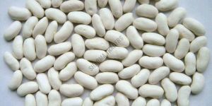 White Kidney Bean