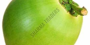 Whole A Grade Fresh Tender Coconut