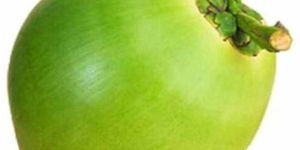 Whole A Grade Fresh Tender Coconut