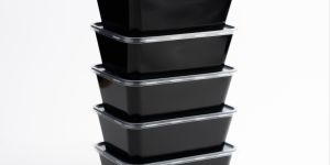 Microwave Safe Takeaway Food Containers
