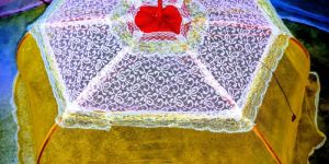 6 streaks dolphin baby net