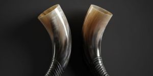 Handcrafted Viking Drinking Horn