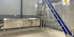 Double Head Cashew Peeling Machine