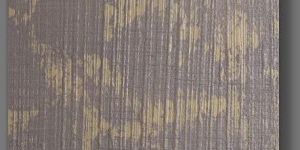 Ombrosa Interior Texture Paint