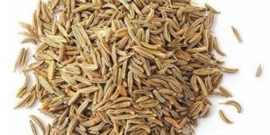 Whole Cumin Seed