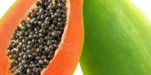 a Grade Fresh Papaya