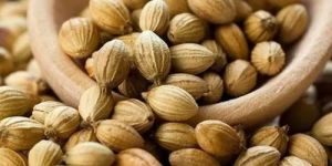 Coriander Seeds