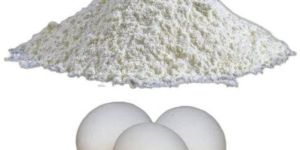 Egg Shell Powder