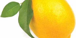 a Grade Fresh Lemon