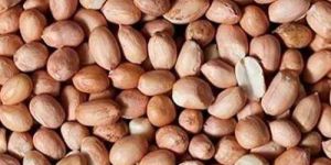 A Grade Groundnut
