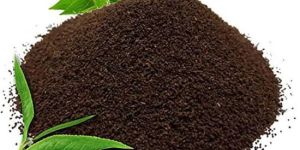 Tea Powder