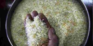 5% Broken Non Basmati Rice