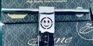 Stainless Steel Smile Cut Designer Door Aldrop