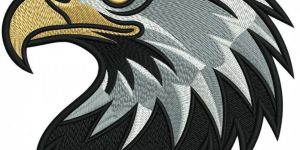 American Digitizing Service