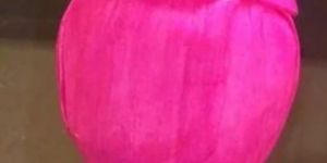 Decorative Pink Sola Wood Lotus Bud