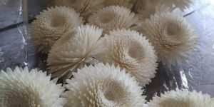 decorative sola dried flower