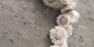 White Mini Sola Wood Flower