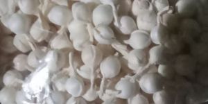 Decorative White Mogra Kali Flower