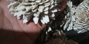 decorative zinnia artificial flowers