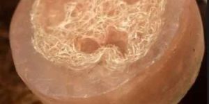 Round Hotel Bath Soap