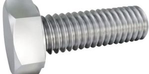 Stainless Steel Hex Bolts