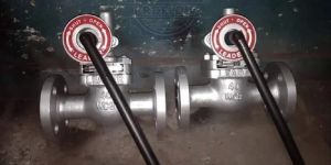 4 Inch Blow Down Valve