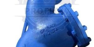 Spirax Make Y Type Strainer Valve