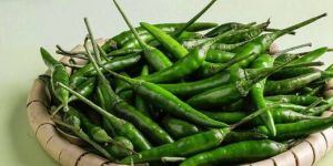 Fresh Green Chilli