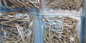 Ashwagandha Roots