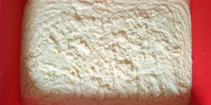 Fresh Sweetened Milk Khoya
