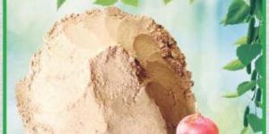 Dehydrated Onion Powder