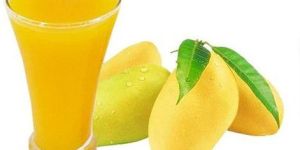 Mango Juice Concentrate