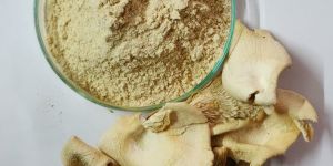 Oyster Mushroom Powder