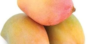 Fresh Totapuri Mango