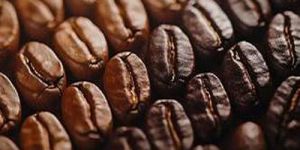 Roasted Coffee Beans