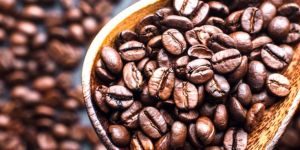Robusta Roasted Beans