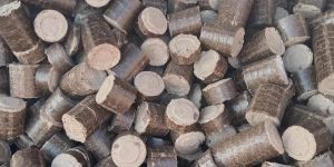 Biomass Briquettes