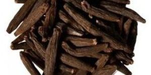 Kapok Buds Marathi Moggu
