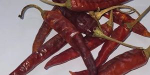 Balijuri Dry Red Chilli