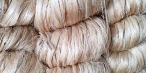 Raw Jute Fiber