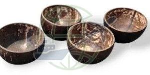 Coconut Shell Bowl