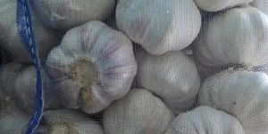a Grade White Fresh Garlic