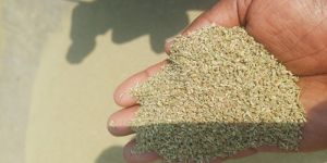 Ajwain Seed