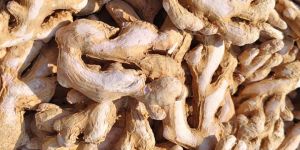 Dehydrated Ginger
