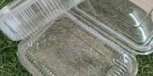 650ML PP Disposable Food Packing Container with Lid