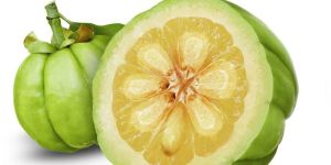 Garcinia Cambogia Extract
