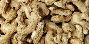 Dried Ginger