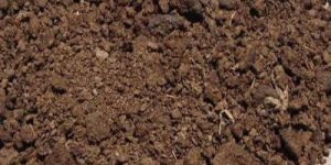 Pure Cow Dung Powder